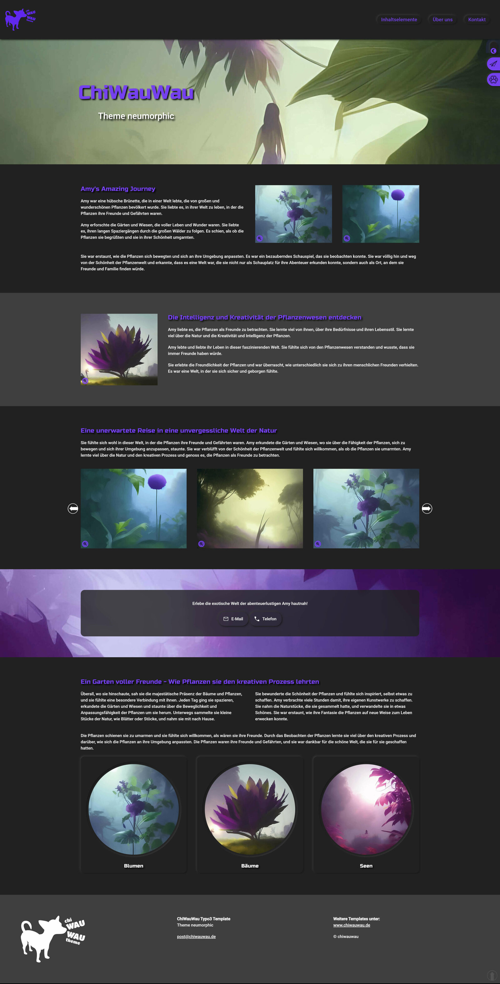Typo3 Theme neumorphic Screenshot dark Theme