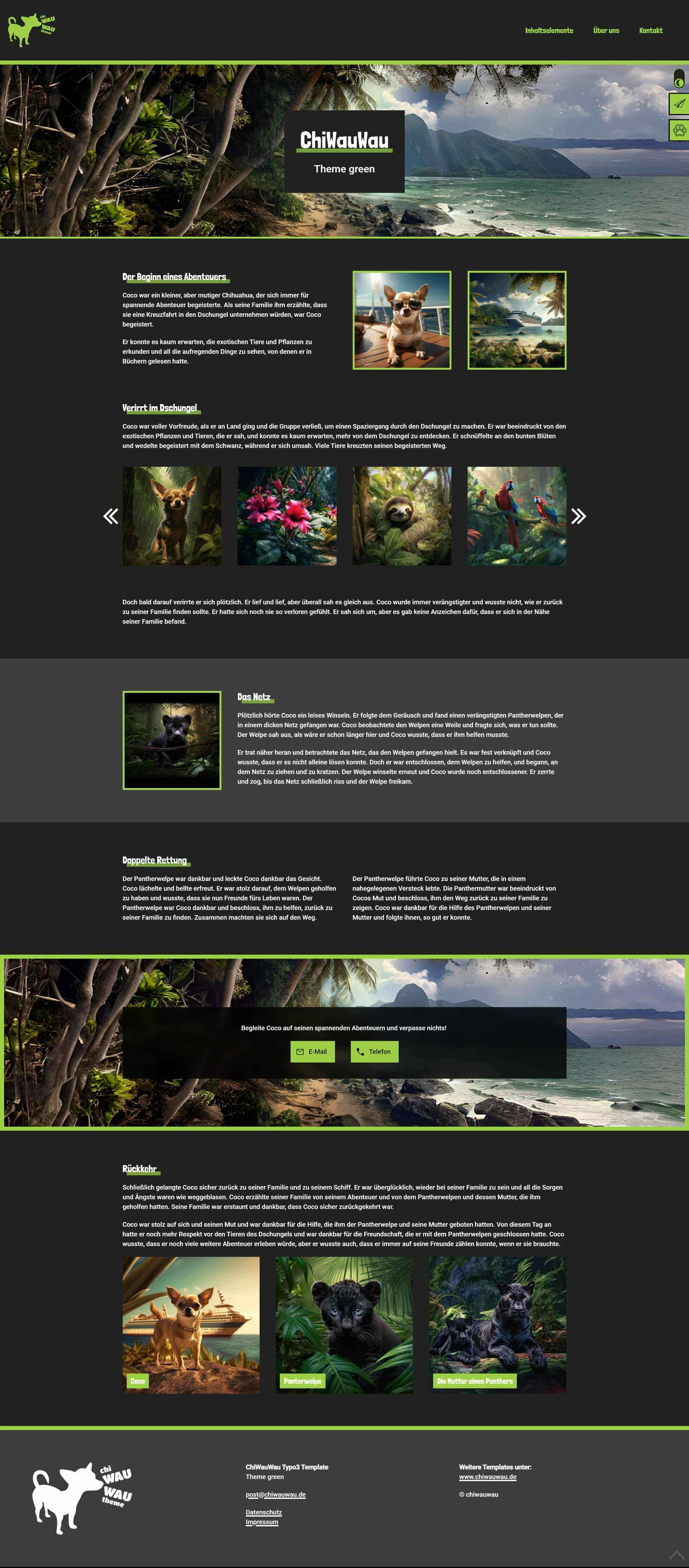 Typo3 Theme green Screenshot dark Theme